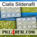Cialis Sildenafil 17